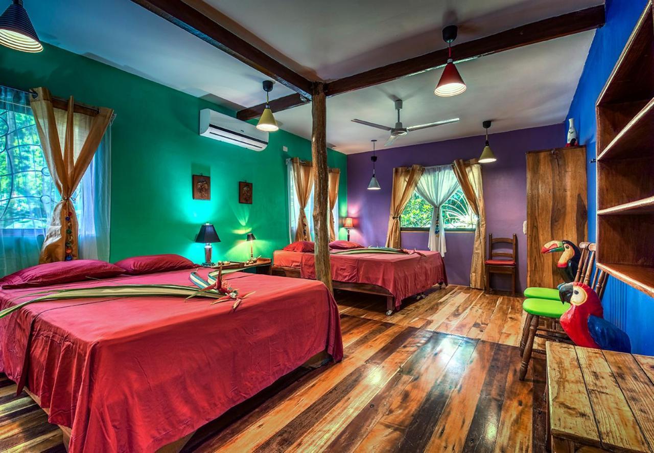 Congo Bongo Ecovillage Costa Rica Puerto Viejo de Talamanca Eksteriør billede