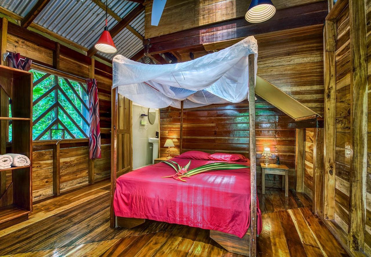 Congo Bongo Ecovillage Costa Rica Puerto Viejo de Talamanca Eksteriør billede