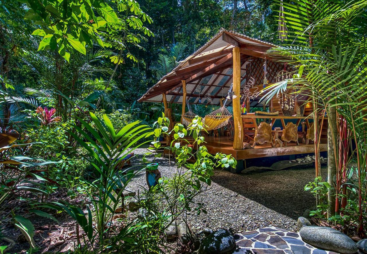 Congo Bongo Ecovillage Costa Rica Puerto Viejo de Talamanca Eksteriør billede