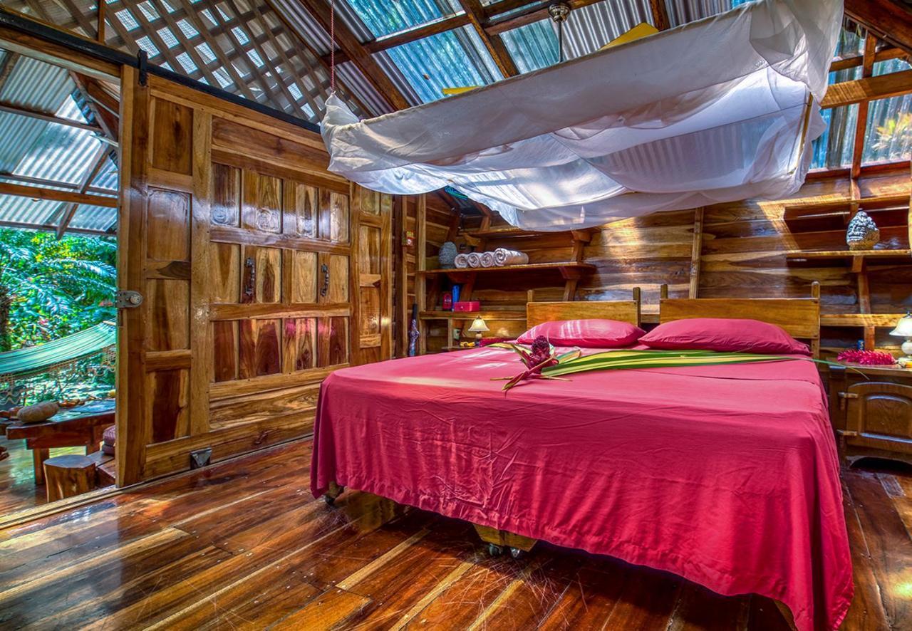Congo Bongo Ecovillage Costa Rica Puerto Viejo de Talamanca Eksteriør billede