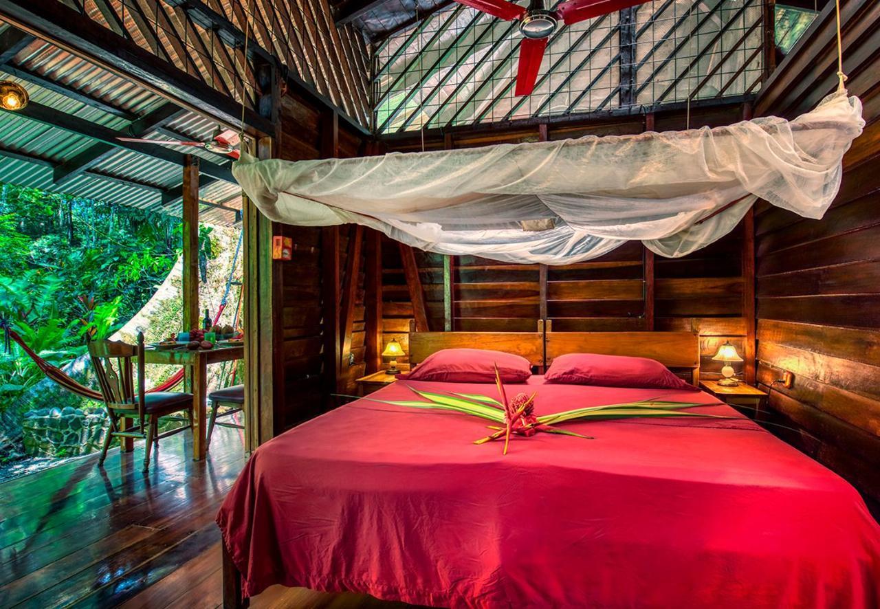 Congo Bongo Ecovillage Costa Rica Puerto Viejo de Talamanca Eksteriør billede