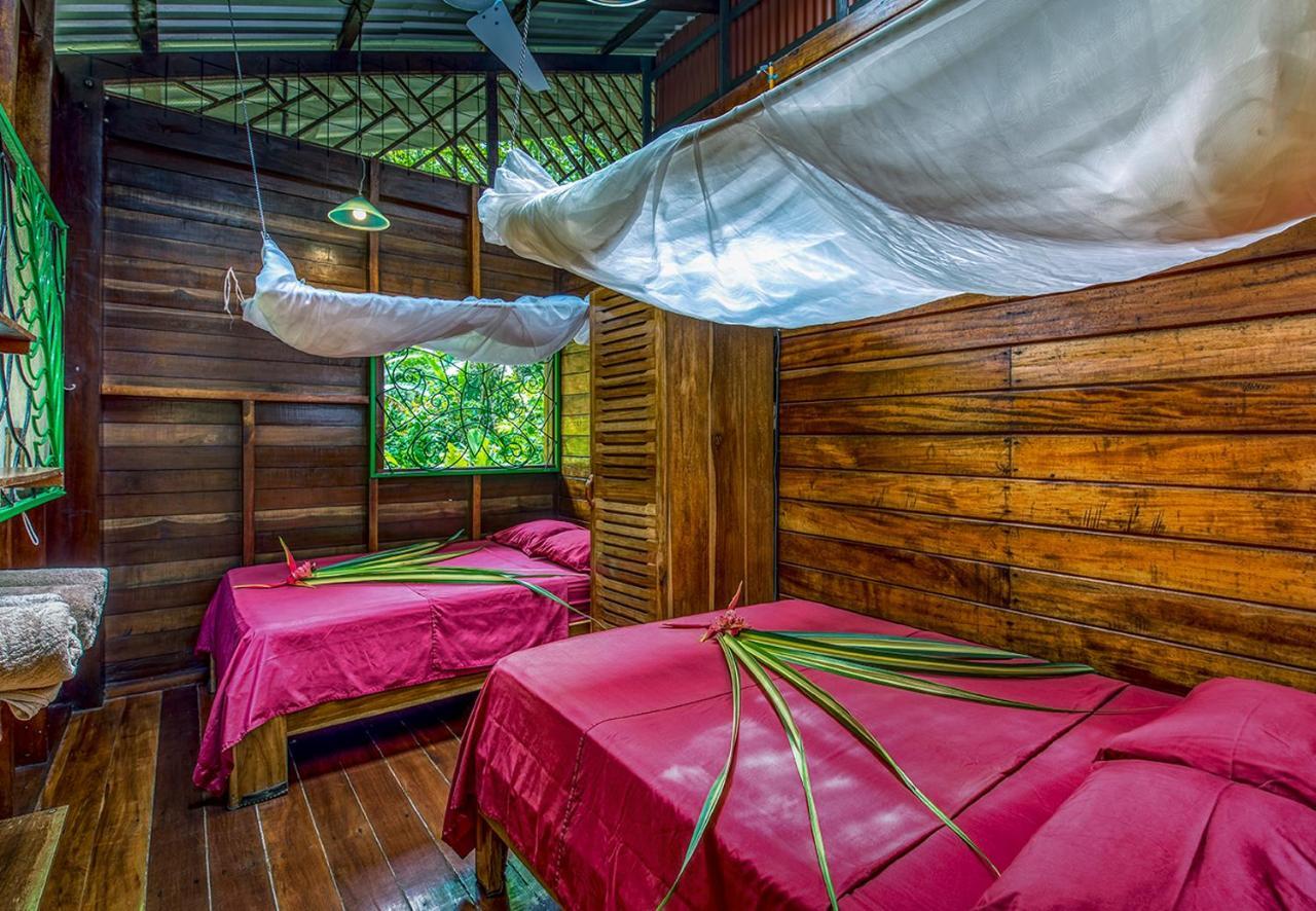 Congo Bongo Ecovillage Costa Rica Puerto Viejo de Talamanca Eksteriør billede